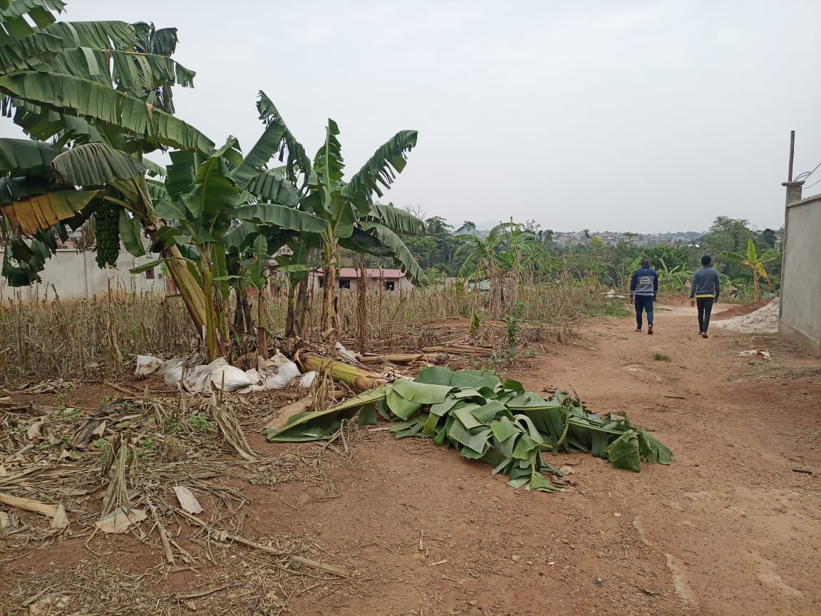 Terrain titré Loti à vendre à Nkoabang entrée carrière