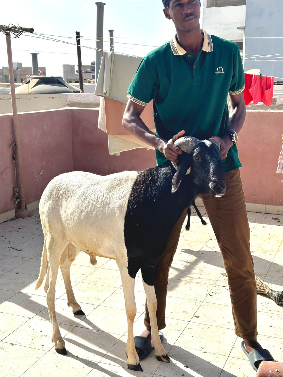 "Offre Spéciale Tabaski : Votre Mouton à 400,000 FCFA - Qualité et Prix Imbattables!"