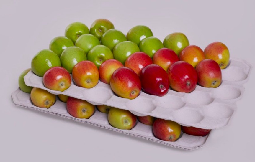 Egg Tray Production Line Egg Tray Production Line