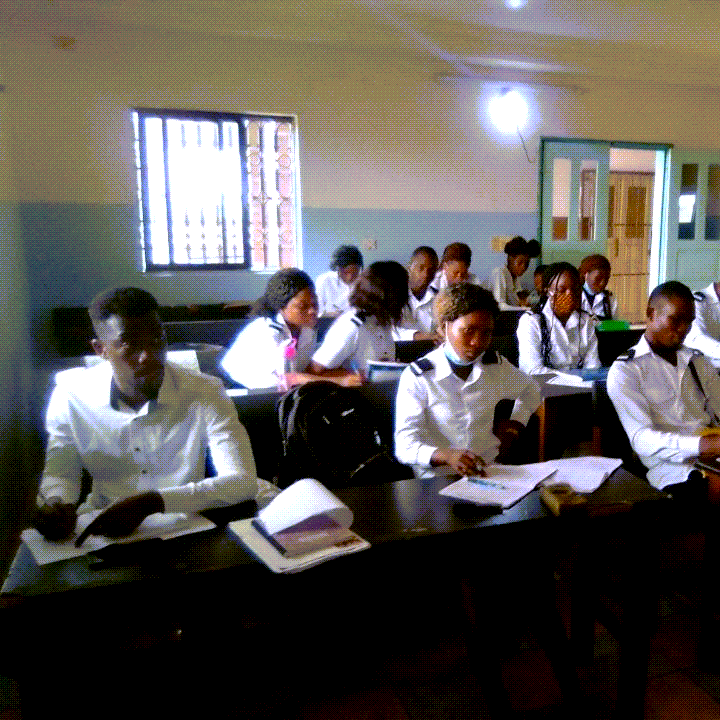 FORMATION PROFESSIONNELLE EN LOGICIEL DE RESERVATION AERIEN AMADEUS ET BILLETTERIE