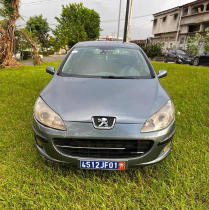PEUGEOT 407 PEUGEOT 407