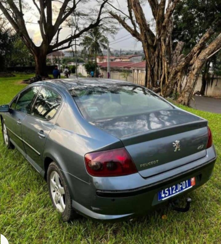 PEUGEOT 407