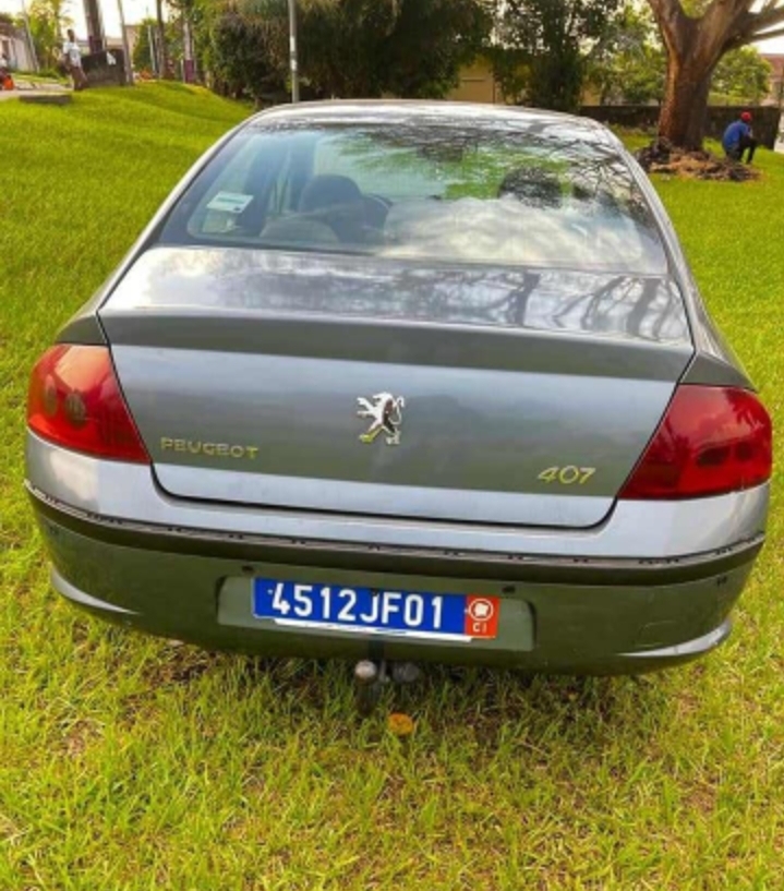 PEUGEOT 407