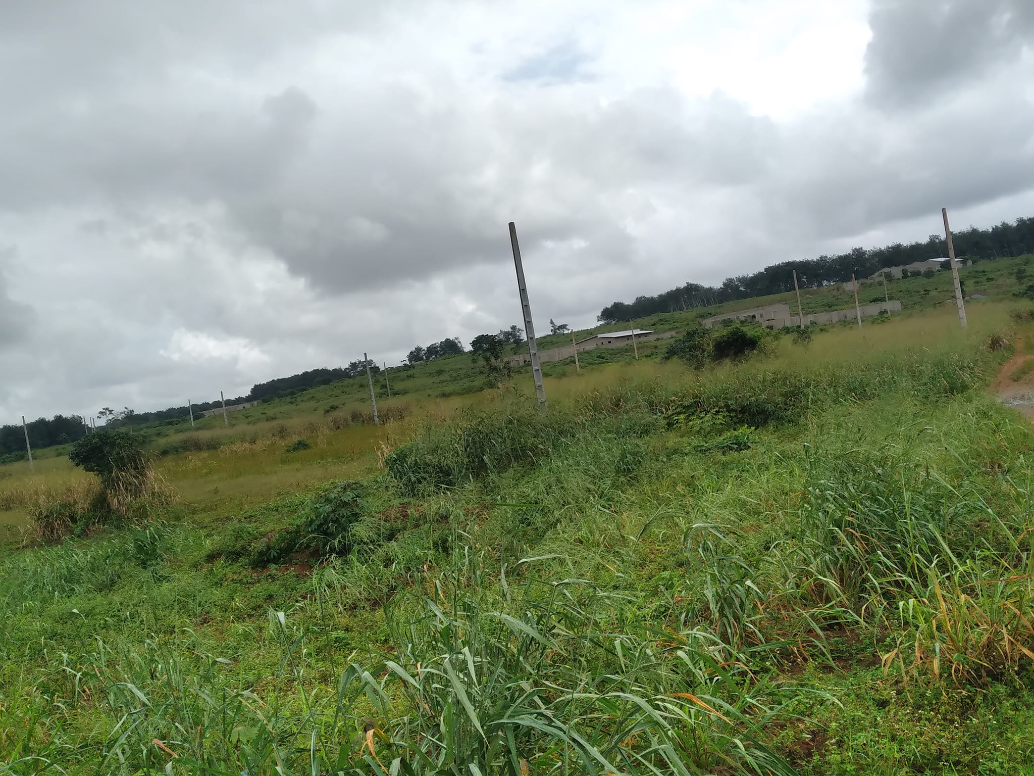 Terrain à Angré 10eme tranche (4croix)