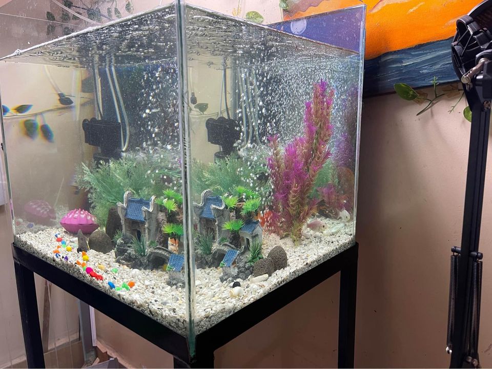 Aquarium de 70 litres
