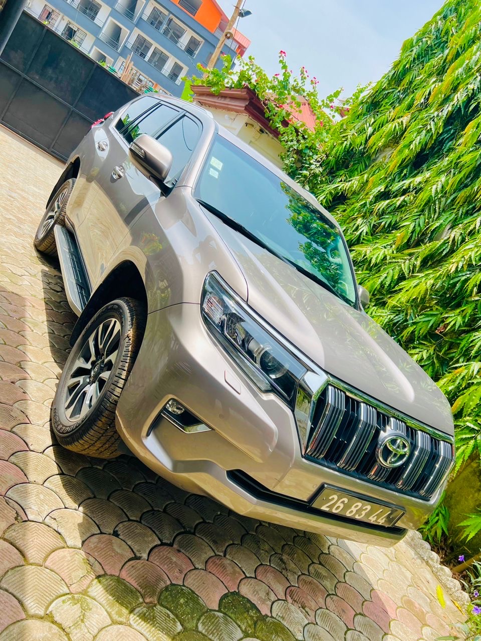 lande cruiser prado a vandre