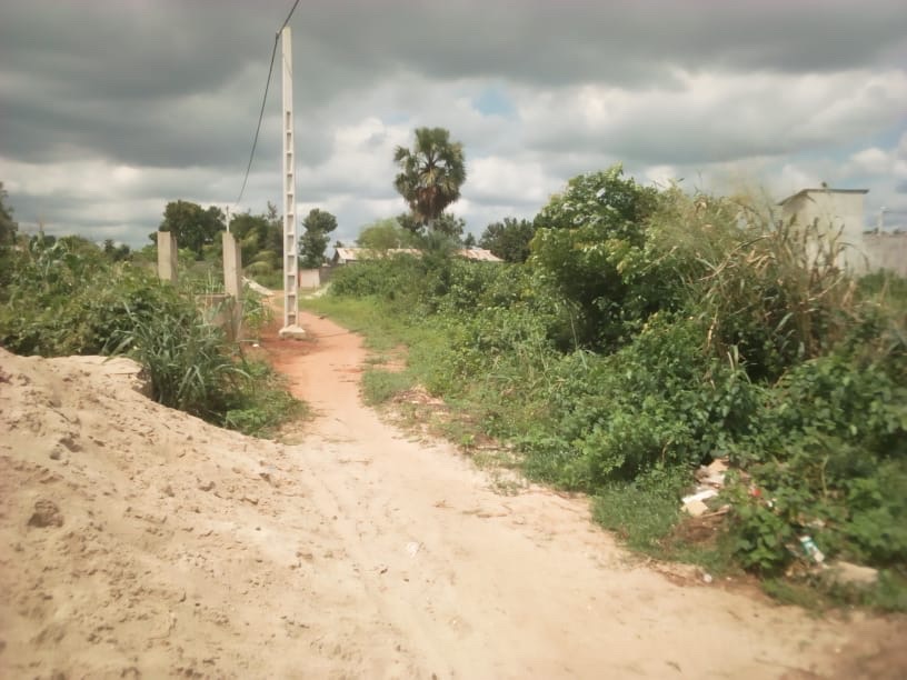 HECTARES AVEC TF ET ADC À VENDRE