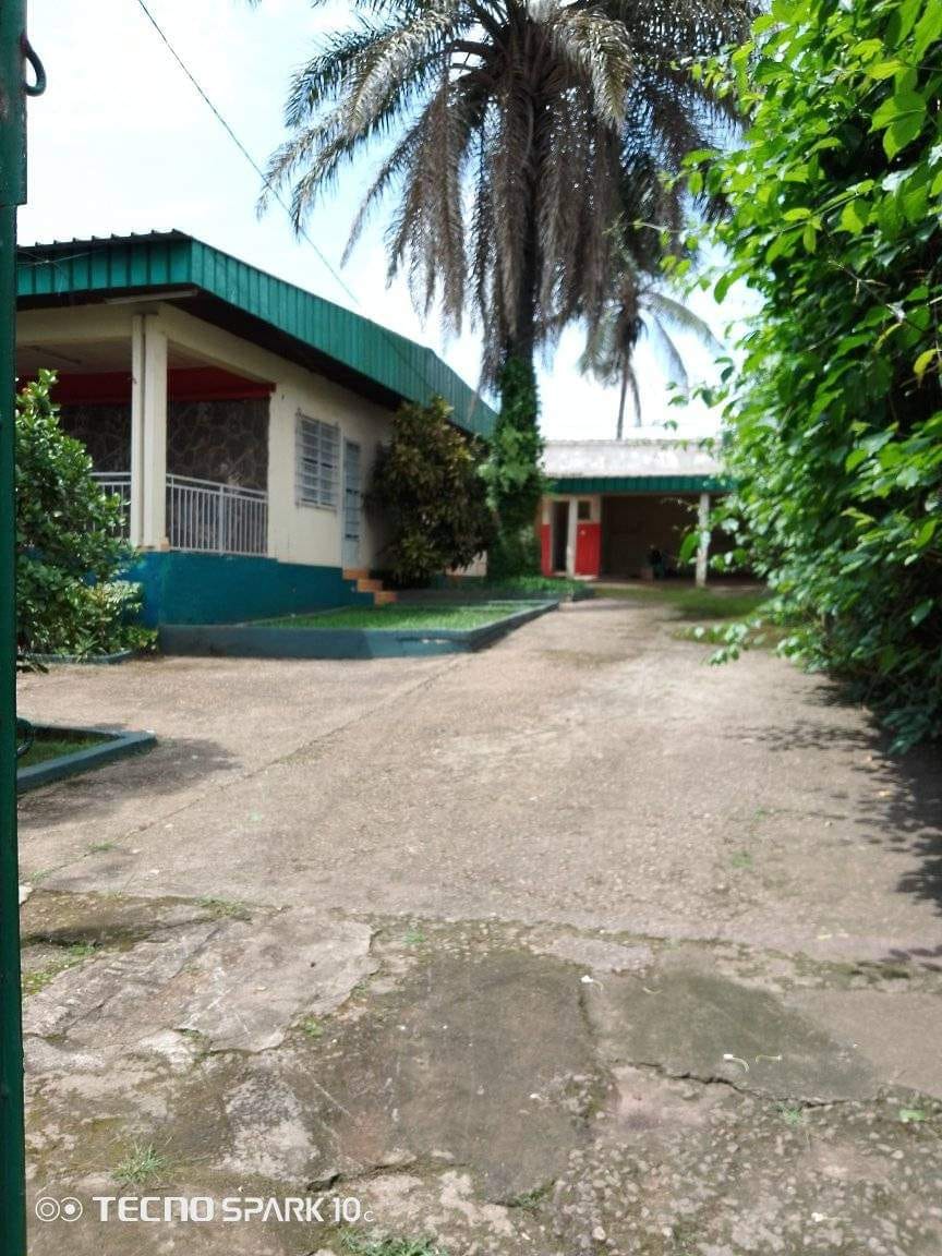 Yaoundé omnisports vaste villa individuelle à louer