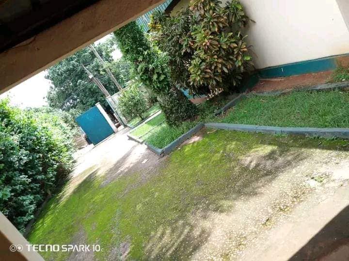 Yaoundé omnisports vaste villa individuelle à louer