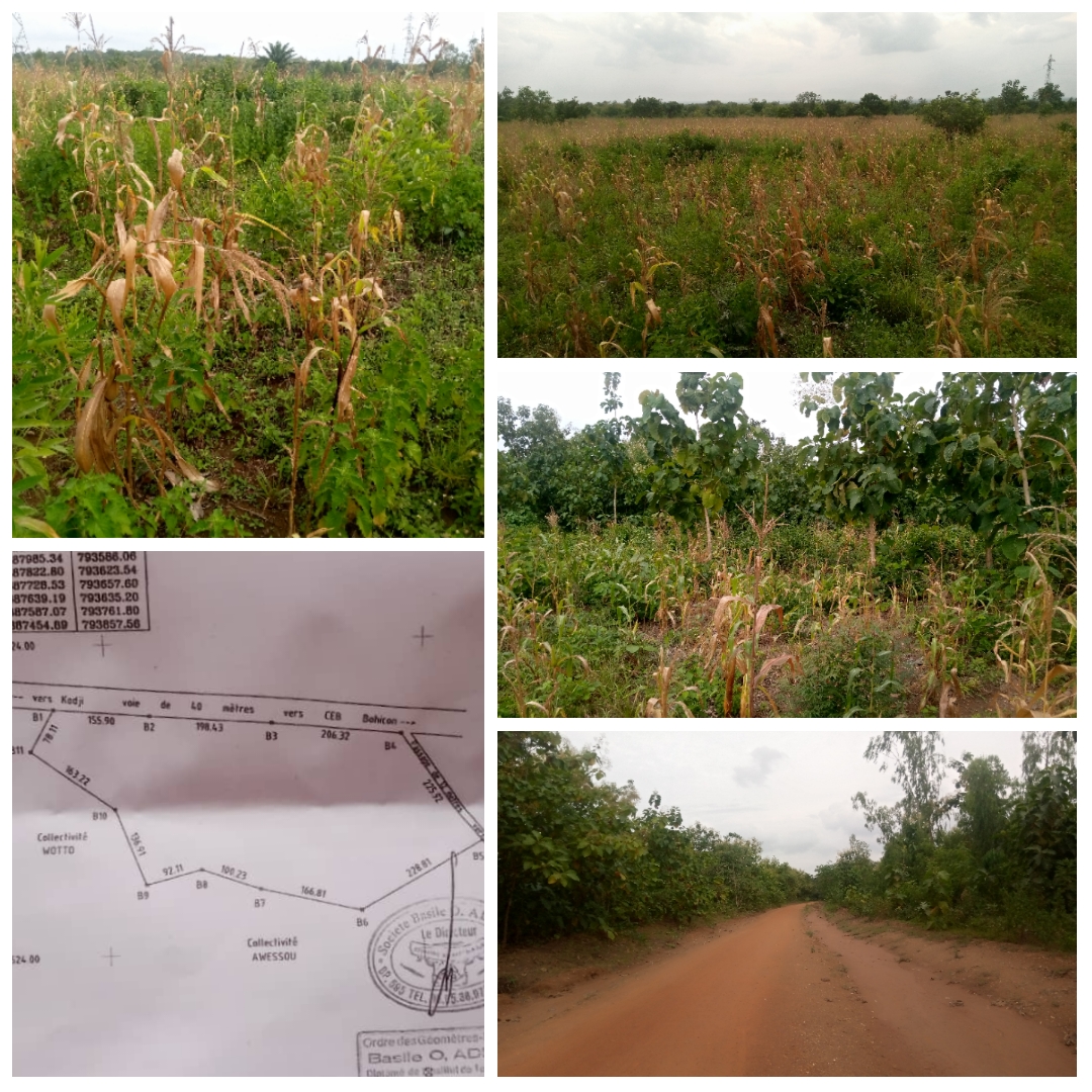 16 HECTARES AU BORD DE LA ROUTE, À 2KM DE LA MAIRIE D'ABOMEY À VENDRE.