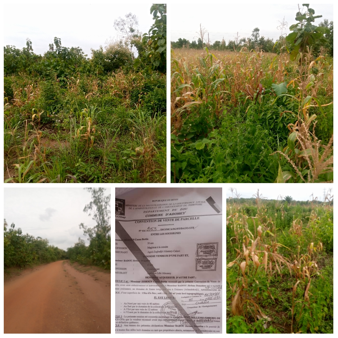 16 HECTARES AU BORD DE LA ROUTE, À 2KM DE LA MAIRIE D'ABOMEY À VENDRE.
