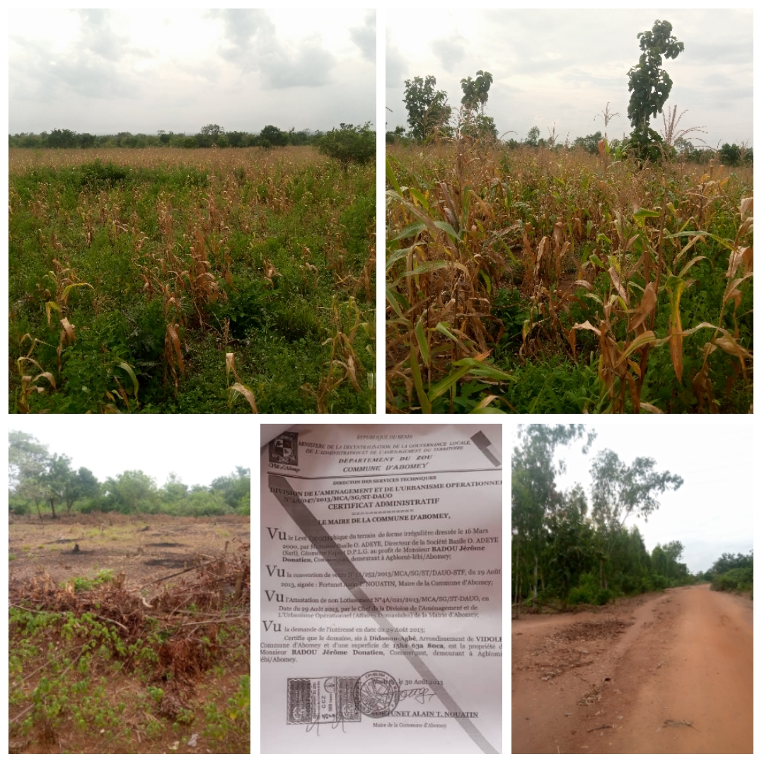 16 HECTARES AU BORD DE LA ROUTE, À 2KM DE LA MAIRIE D'ABOMEY À VENDRE.