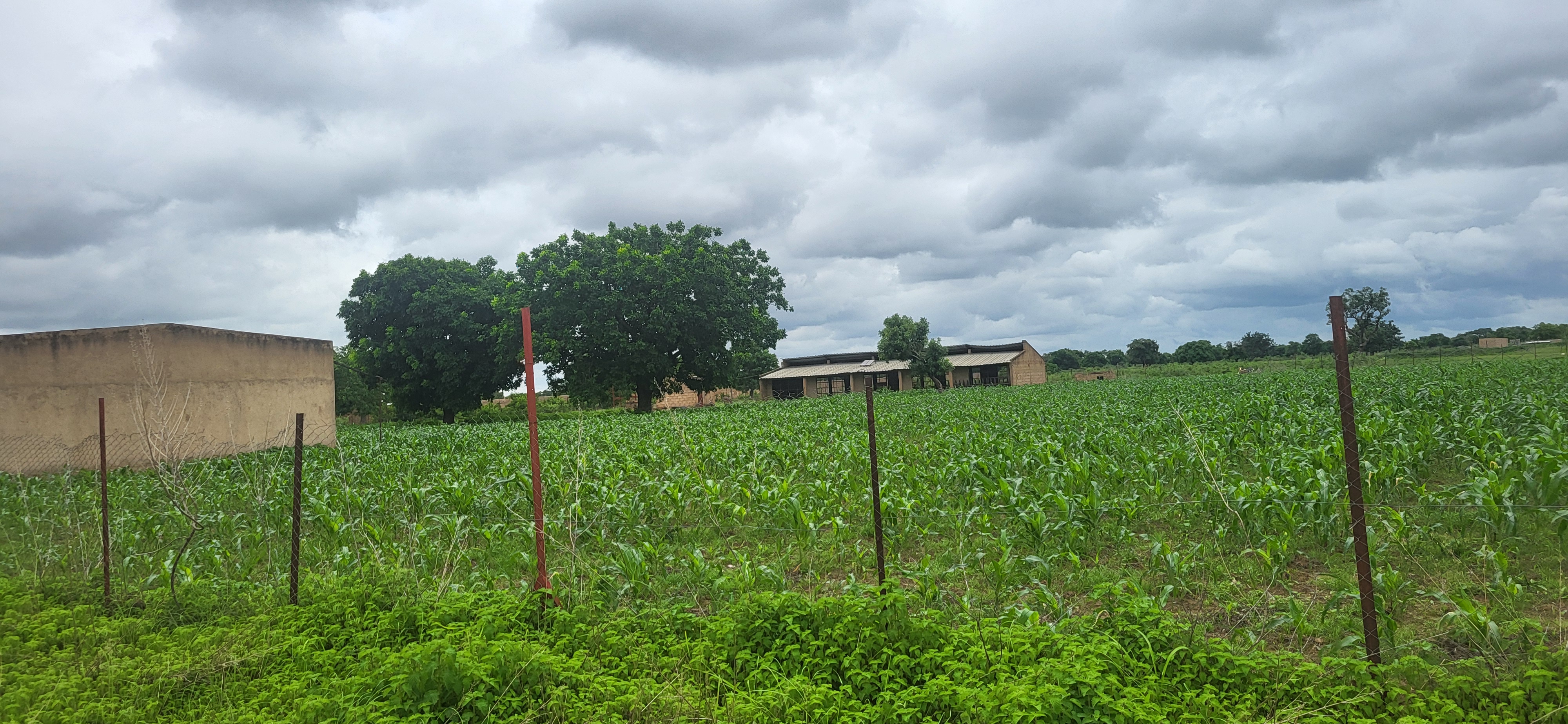 Une ferme en vente Une ferme en vente