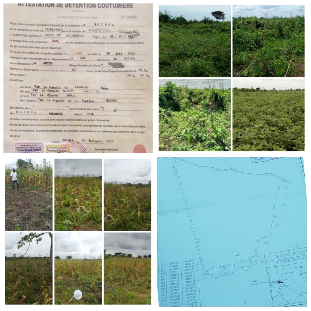 40 HECTARES SIS À HOUTO (DJIDJA) AVEC ADC EN BORDURE D'UNE GRANDE VOIE À VENDRE.