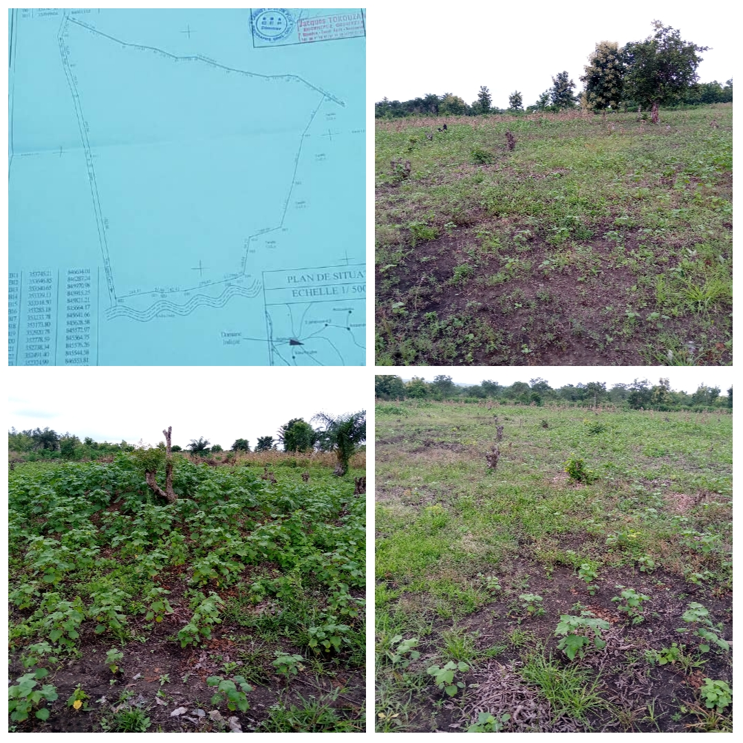 40 HECTARES SIS À HOUTO (DJIDJA) AVEC ADC EN BORDURE D'UNE GRANDE VOIE À VENDRE.