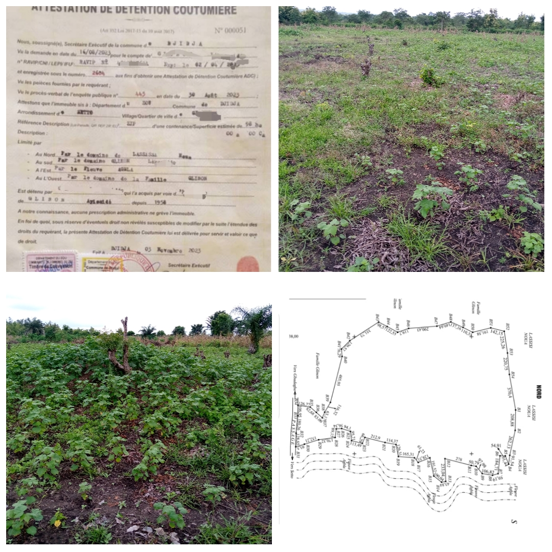 TERRAIN AGRICOLE DE 244 HECTARES SIS À SETTO (DJIDJA) AVEC ADC EN BORDURE D'UNE VOIE À VENDRE.