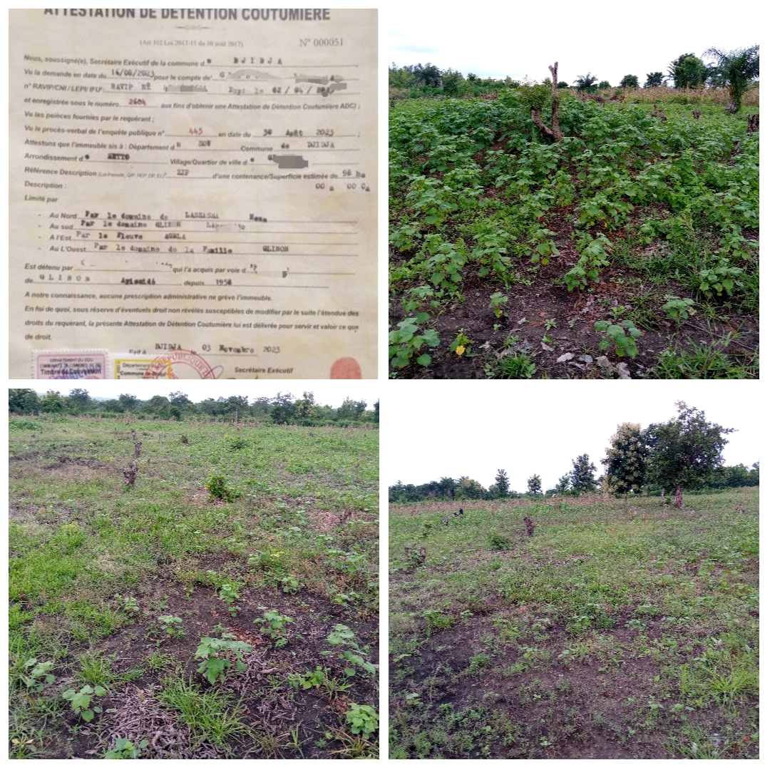 TERRAIN AGRICOLE DE 244 HECTARES SIS À SETTO (DJIDJA) AVEC ADC EN BORDURE D'UNE VOIE À VENDRE.