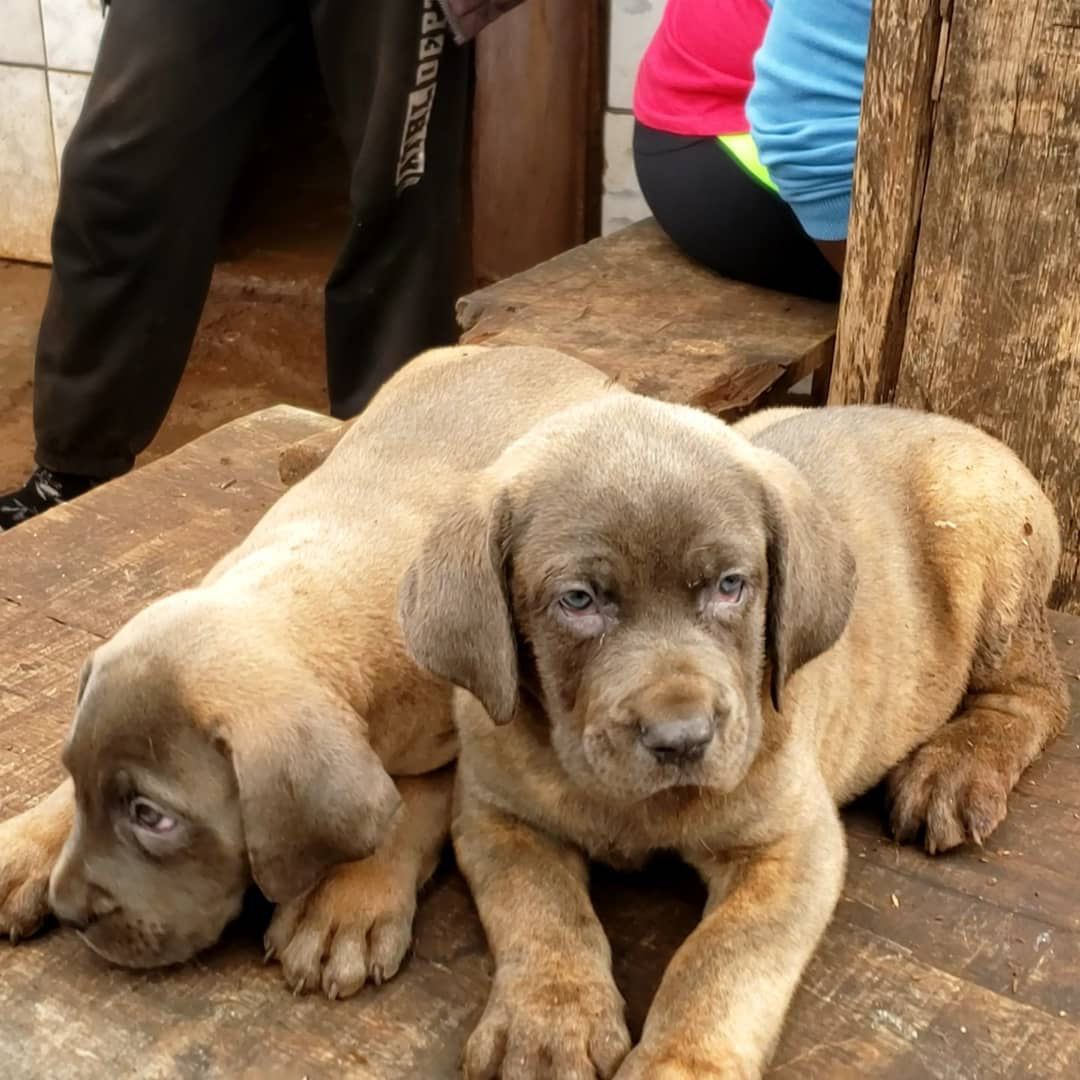 salut la communauté désolée pour mon long absence