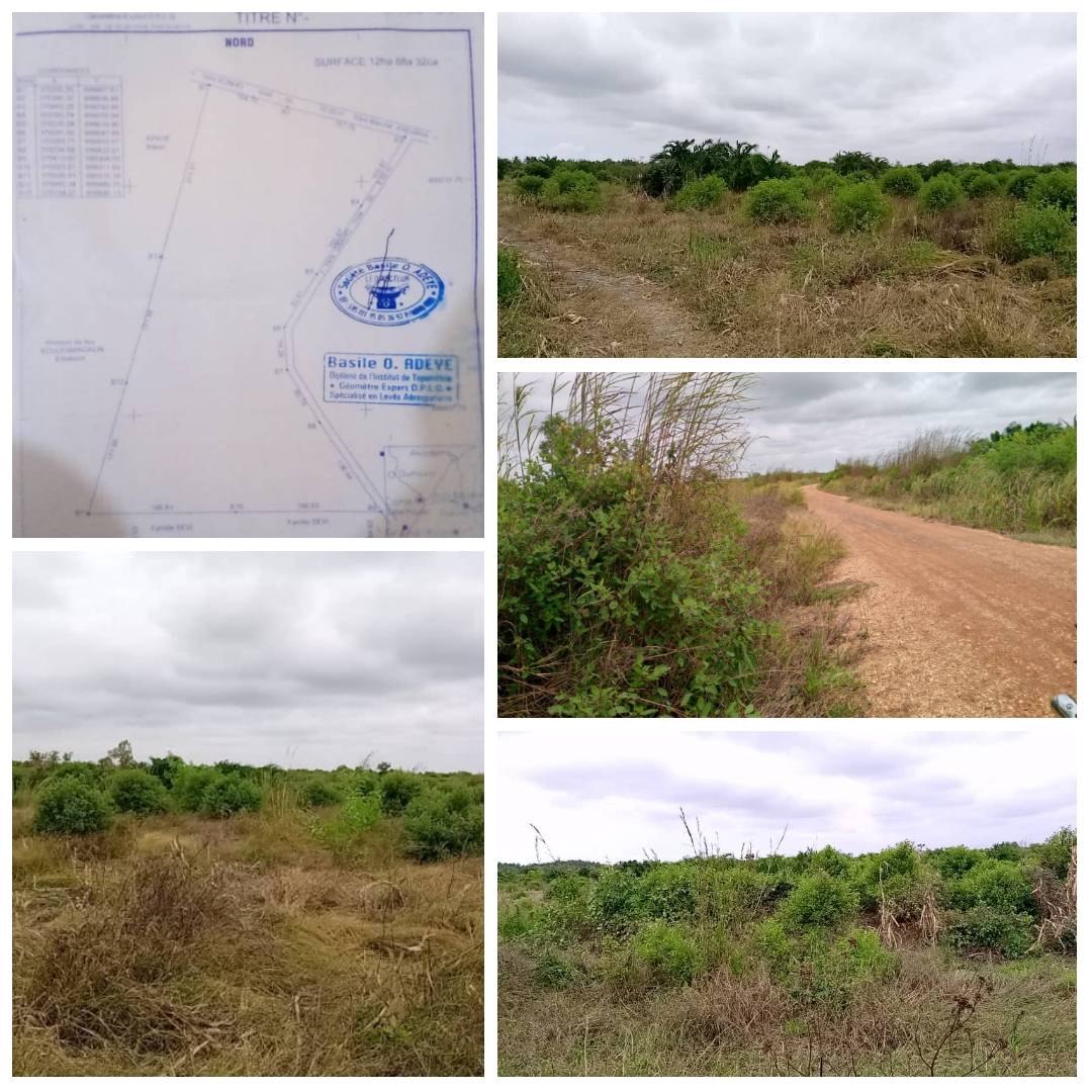 TERRAIN DE 12 HECTARES SIS À GRAND-POPO (ADJAHA) EN BORDURE DE DEUX VOIES À VENDRE.
