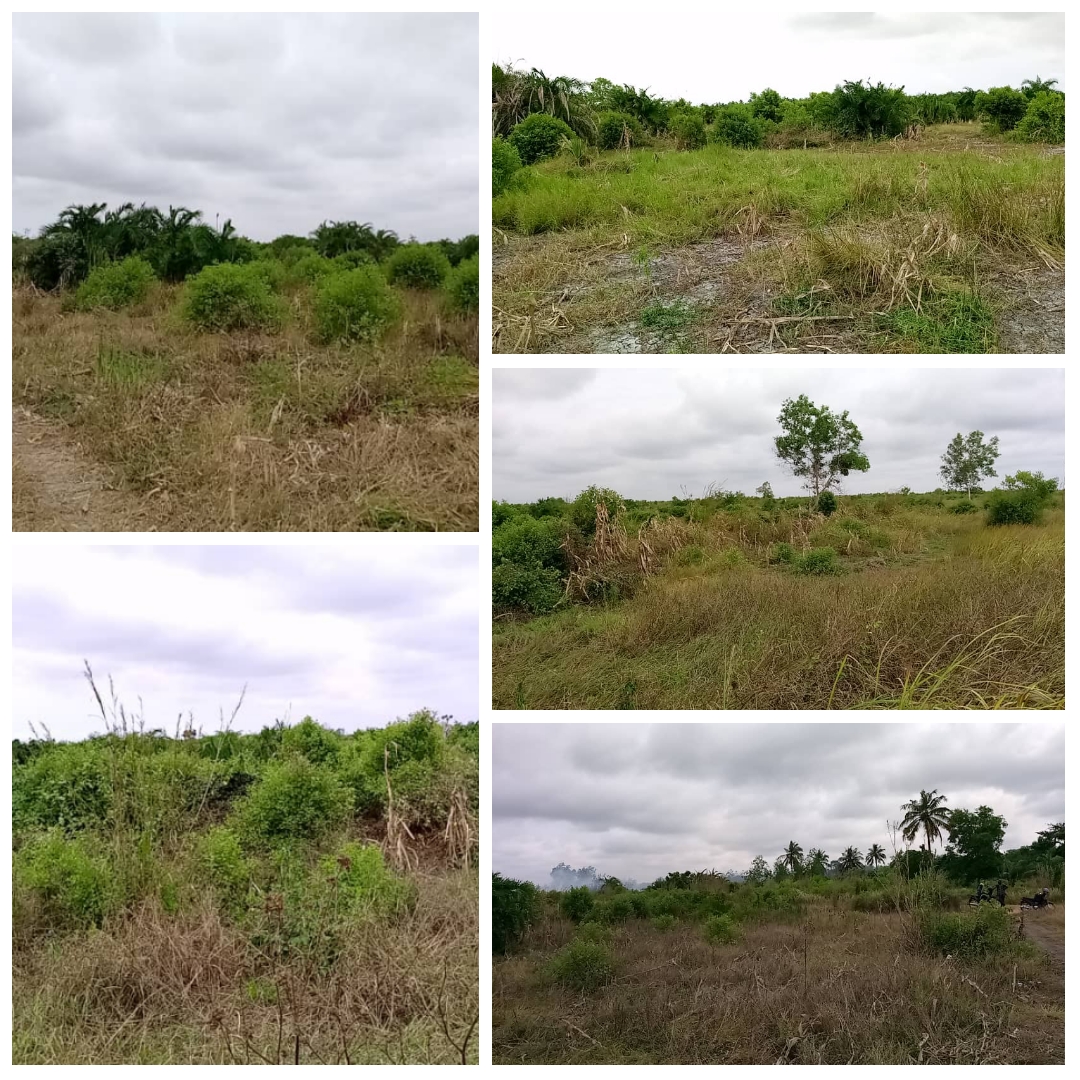 TERRAIN DE 12 HECTARES SIS À GRAND-POPO (ADJAHA) EN BORDURE DE DEUX VOIES À VENDRE.