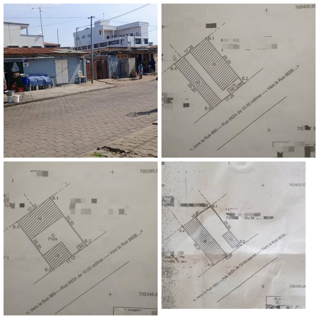 PARCELLE DE 1639M² AVEC TF À COTONOU (GBÈDJROMÈDÉ) À VENDRE.