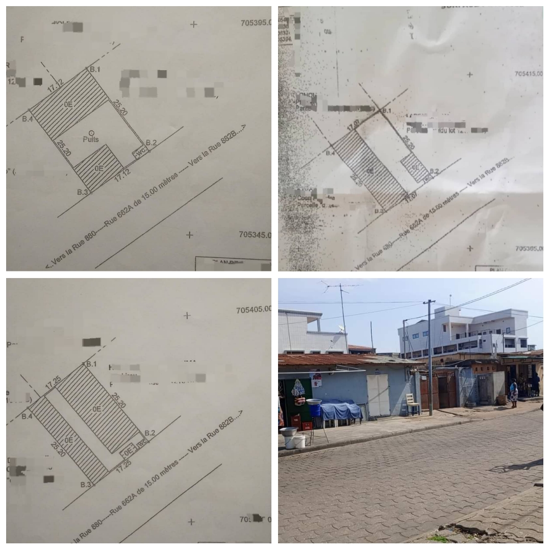 PARCELLE DE 1639M² AVEC TF À COTONOU (GBÈDJROMÈDÉ) À VENDRE.