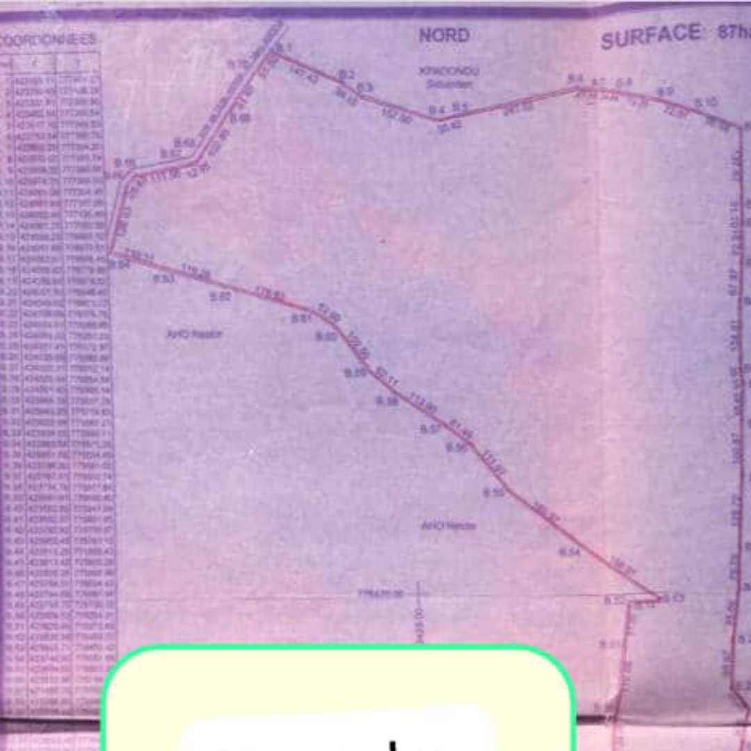 TERRAIN DE 87 HECTARES AVEC TITRE FONCIER SIS À ZOGBODOMEY (DOMÈ) AU BORD D'UNE VOIE À VENDRE.
