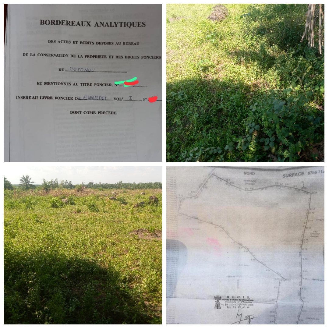 TERRAIN DE 87 HECTARES AVEC TITRE FONCIER SIS À ZOGBODOMEY (DOMÈ) AU BORD D'UNE VOIE À VENDRE.