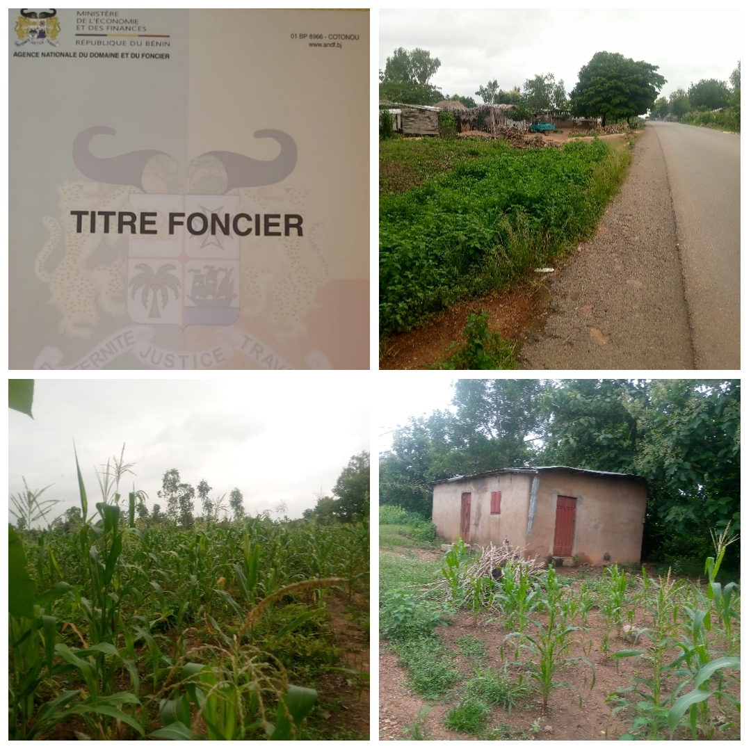 TERRAIN DE 8 HECTARES AVEC TITRE FONCIER AU BORD DU GOUDRON SIS À ADOMOUGON (TANVÈ)