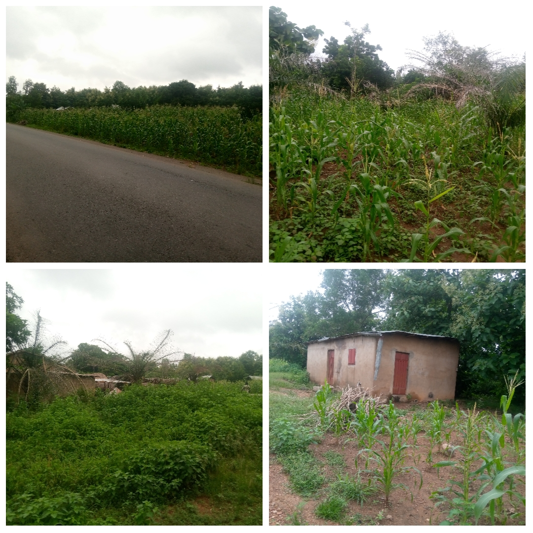 TERRAIN DE 8 HECTARES AVEC TITRE FONCIER AU BORD DU GOUDRON SIS À ADOMOUGON (TANVÈ)