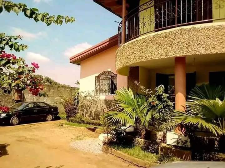 Beau Duplex titré avec espace vert parking forage à vendre à Tsinga village