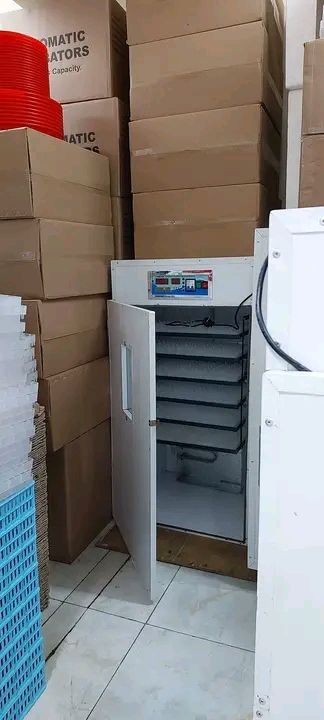 Ventes des couveuse et les articles de l'élevage