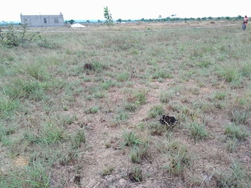 PARCELLE A TCHIBALA * MONGO POUKOU * PARCELLE A TCHIBALA * MONGO POUKOU *