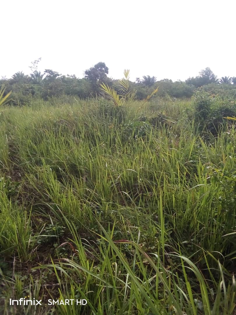 Huit (08) parcelles ensemble à vendre