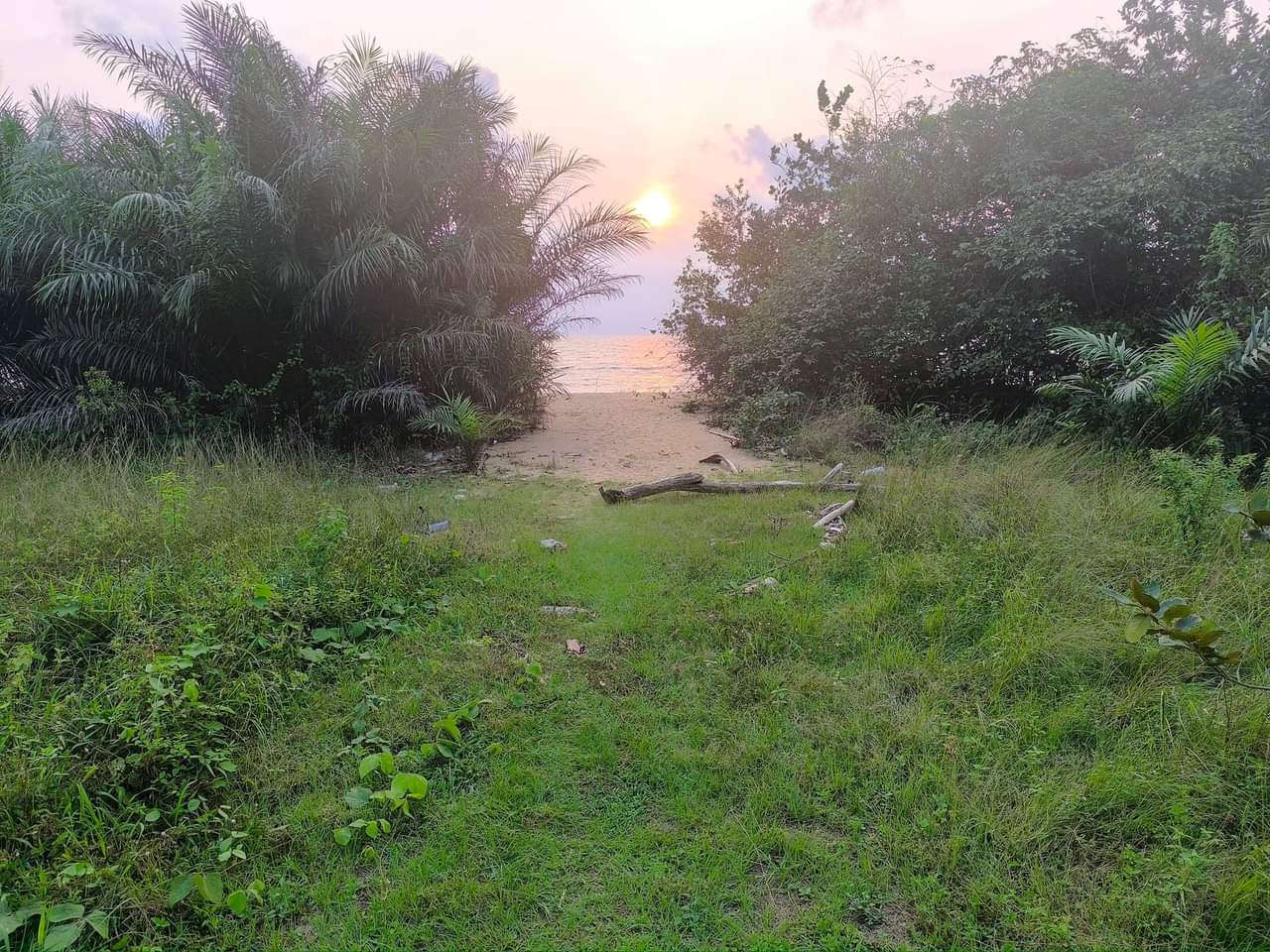 9 terrains à vendre à kribi