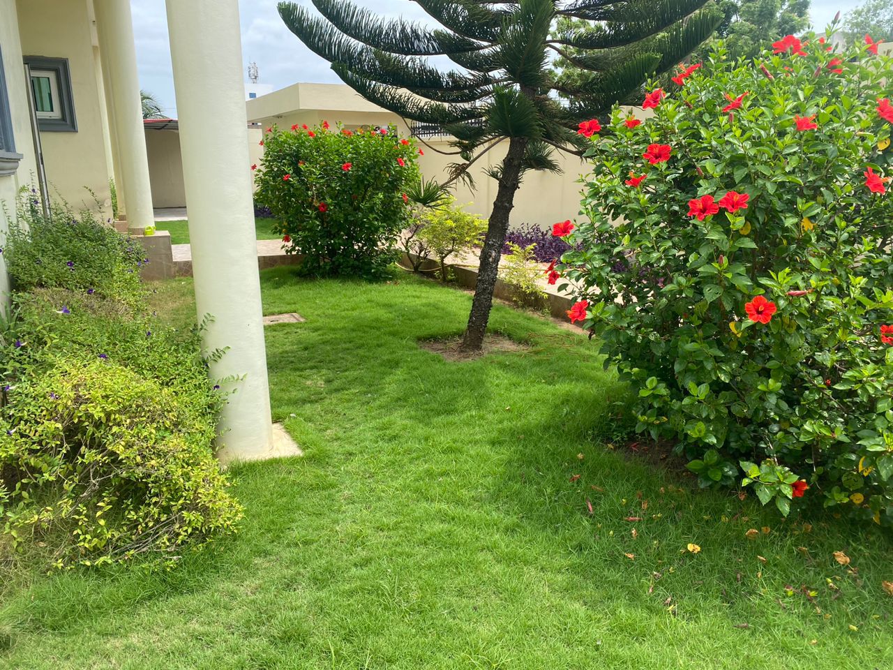 VILLA DE 5 CHAMBRE 2 SALONS AVEC PISCINE & JARDIN À AKPAKPA DANS LA CITÉ CEN-SAD À VENDRE.