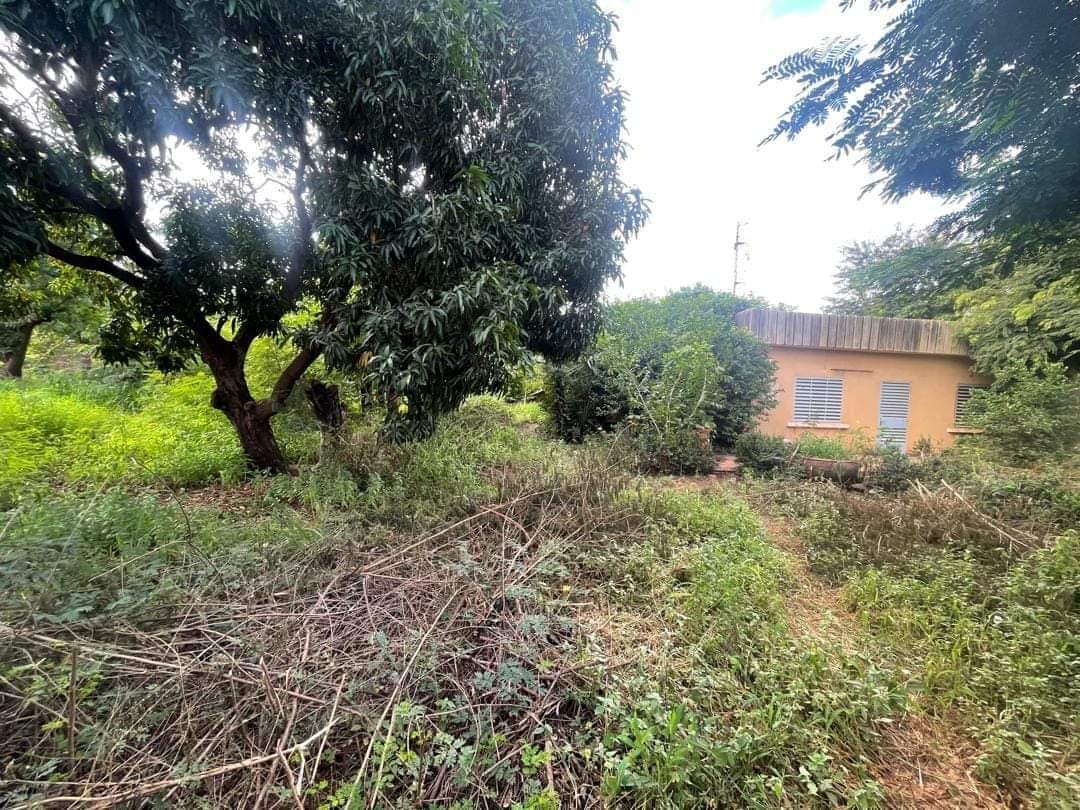 Parcelle de 1428m2 double en plein centre ville de Ouagadougou Parcelle de 1428m2 double en plein centre ville de Ouagadougou