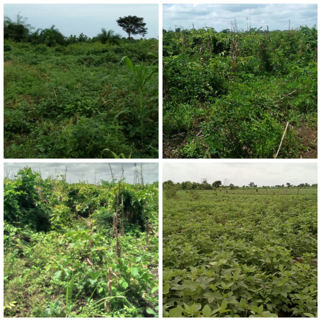 150 HECTARES SIS DANS DJIDJA (MONSOUROU), VILLAGE GOUNOUKOUIN À VENDRE. 150 HECTARES SIS DANS DJIDJA (MONSOUROU), VILLAGE GOUNOUKOUIN À VENDRE.