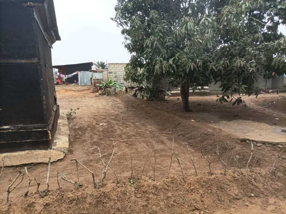 DEMI TERRAIN A VINDOULOU DEMI TERRAIN A VINDOULOU