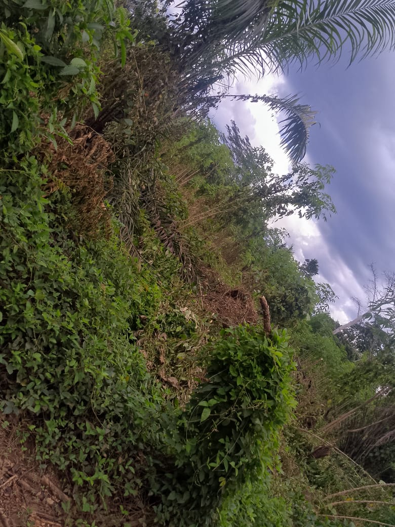 en vente terrain agricole