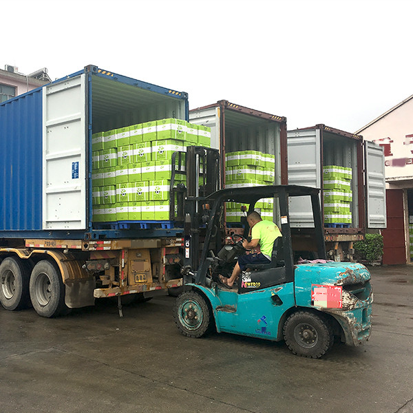 Usine spécialisée en Chunmee 41022/9380/8147