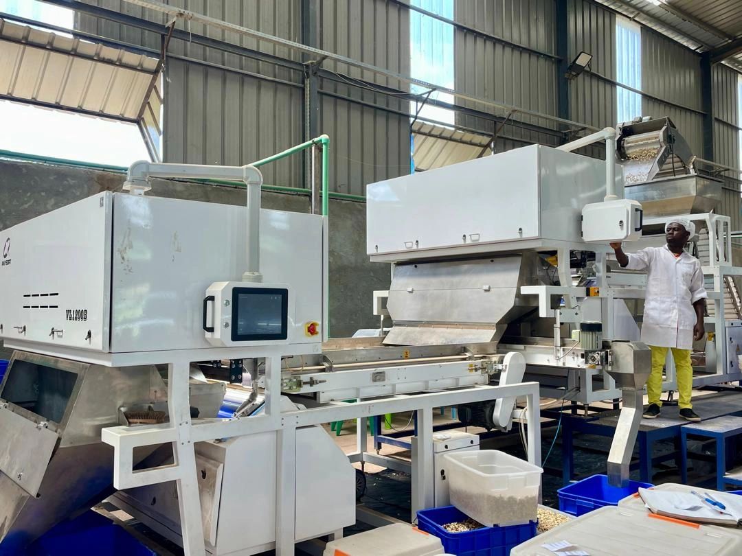 SIKENSI Vente USINE DE CONDITIONNEMENT D'ANACARDE ( 5ha).