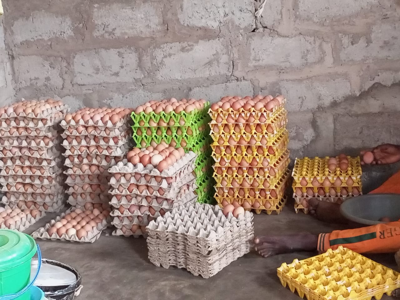 Vente ferme et villa F3 moderne construit sur 10.000m2 le tout clôturée au centre de Bohicon