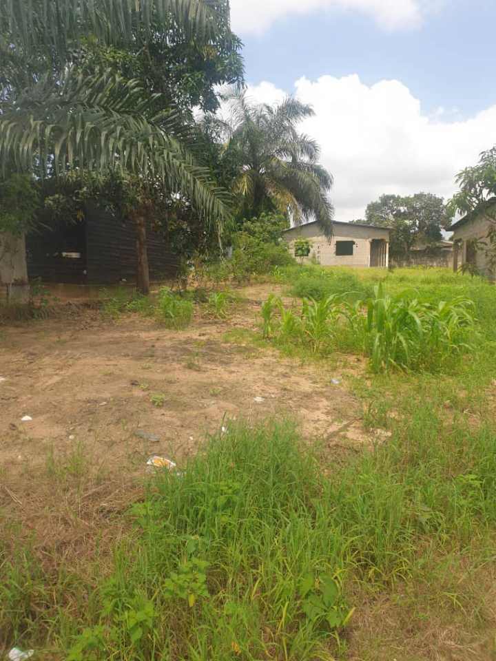 PARCELLE A MONGO KAMBA