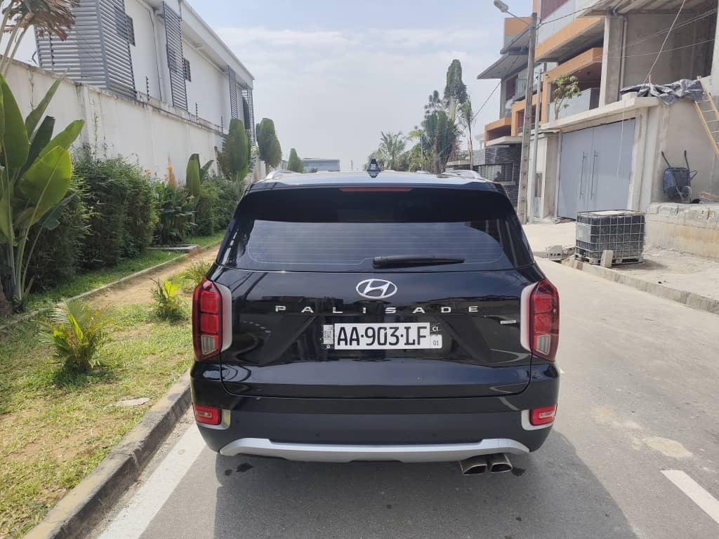 HYUNDAI PALISSADE CALLIGRAPHY