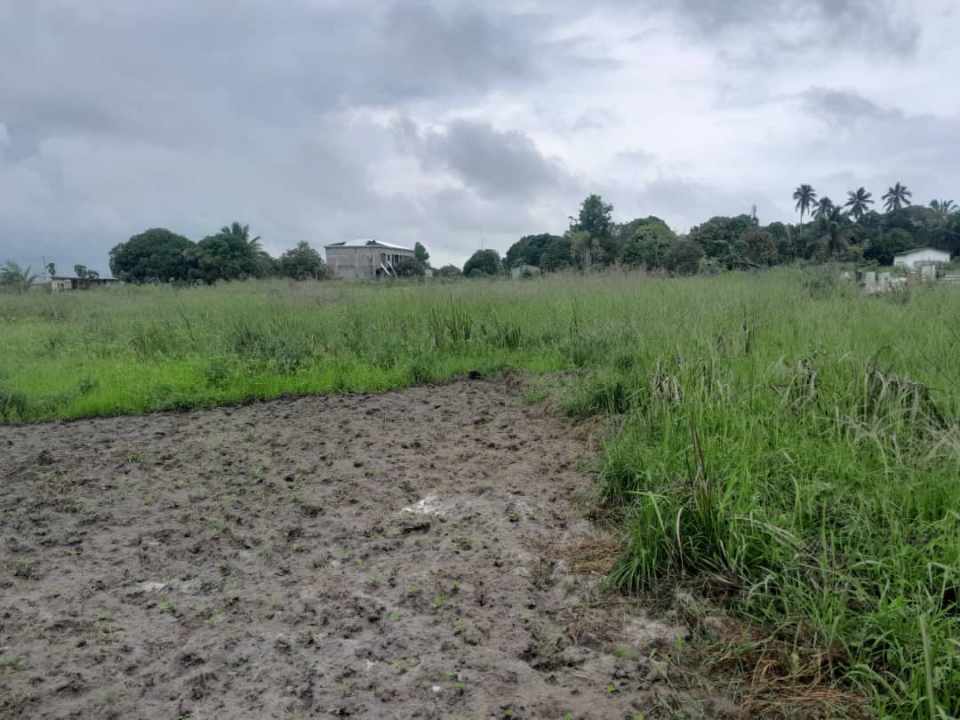 DOMAINE A VENDRE DOMAINE A VENDRE