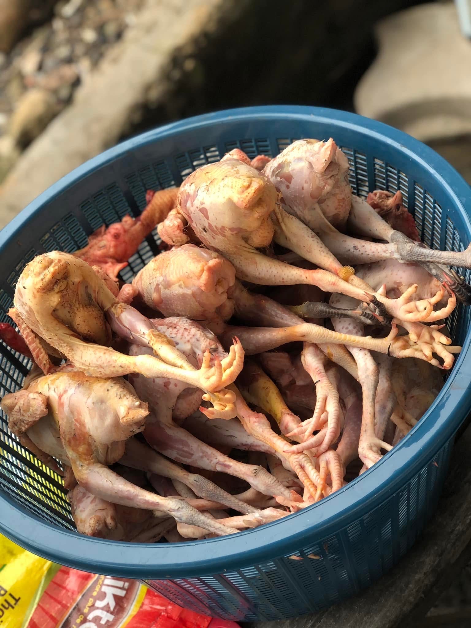 Vente de Poulet Local – Goliath, la Star de votre Assiette !