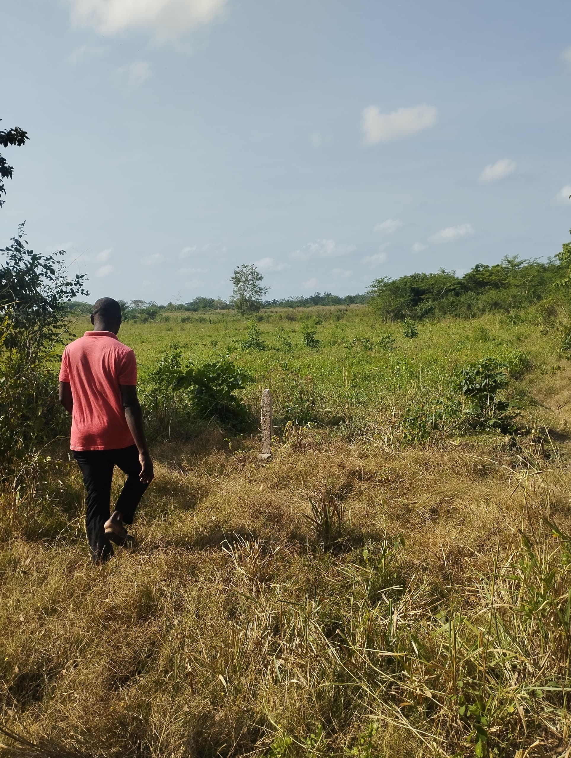 Vente de terrain agricole a Toveguan