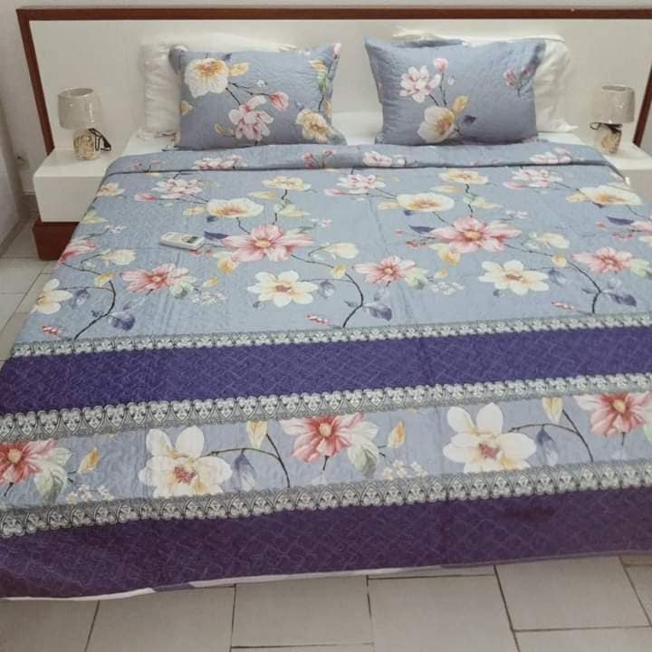 belle résidence de 2 pièces meublé