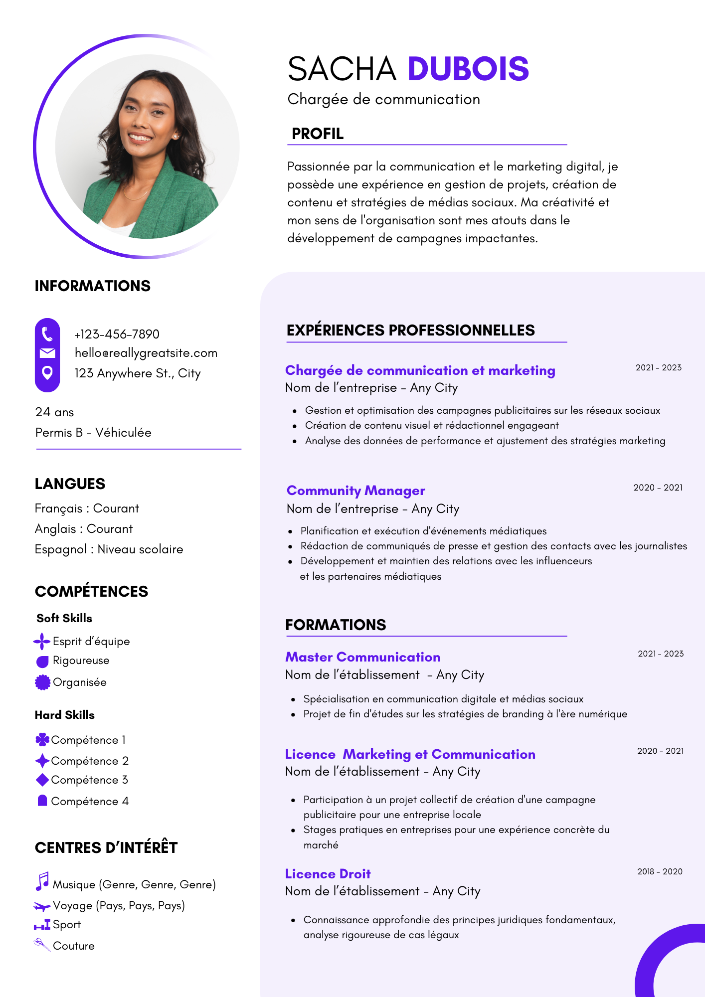 CV Professionnels Sur Mesure CV Professionnels Sur Mesure